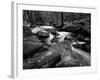 Golitha Falls, Bodmin, Cornwall, UK-Ross Hoddinott-Framed Photographic Print