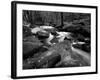 Golitha Falls, Bodmin, Cornwall, UK-Ross Hoddinott-Framed Photographic Print