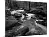 Golitha Falls, Bodmin, Cornwall, UK-Ross Hoddinott-Mounted Photographic Print