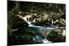 Golitha Falls I-Tim Kahane-Mounted Photographic Print