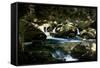 Golitha Falls I-Tim Kahane-Framed Stretched Canvas