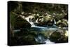 Golitha Falls I-Tim Kahane-Stretched Canvas