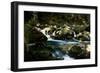 Golitha Falls I-Tim Kahane-Framed Photographic Print