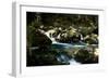Golitha Falls I-Tim Kahane-Framed Photographic Print