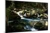 Golitha Falls I-Tim Kahane-Mounted Photographic Print