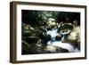 Golitha Falls Ii-Tim Kahane-Framed Photographic Print
