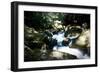 Golitha Falls Ii-Tim Kahane-Framed Photographic Print