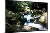 Golitha Falls Ii-Tim Kahane-Mounted Photographic Print