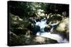 Golitha Falls Ii-Tim Kahane-Stretched Canvas