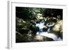 Golitha Falls Ii-Tim Kahane-Framed Photographic Print