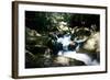 Golitha Falls Ii-Tim Kahane-Framed Photographic Print