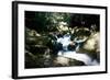 Golitha Falls Ii-Tim Kahane-Framed Photographic Print