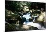 Golitha Falls Ii-Tim Kahane-Mounted Photographic Print