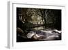 Golitha Falls Iii-Tim Kahane-Framed Photographic Print