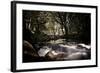 Golitha Falls Iii-Tim Kahane-Framed Photographic Print