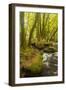 Golitha Falls, River Fowey Flowing Through Wooded Valley, Near St Cleer, Cornwall, UK, May 2012-Ross Hoddinott-Framed Photographic Print