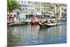 Gondol-Like Moliceiros Boats Navigating on the Central Channel, Aveiro, Beira, Portugal, Europe-G and M Therin-Weise-Mounted Photographic Print