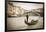 Gondola at the Rialto Bridge on the Grand Canal, Venice, Veneto, Italy-Russ Bishop-Framed Photographic Print