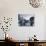 Gondola by the Rialto Bridge, Grand Canal, Venice, Italy-Alan Copson-Photographic Print displayed on a wall