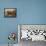 Gondola I-Judy Mastrangelo-Framed Stretched Canvas displayed on a wall