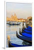 Gondola Lineup in Front of Basilica Di Santa Maria Della Salute. Venice. Italy-Tom Norring-Framed Premium Photographic Print