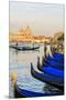 Gondola Lineup in Front of Basilica Di Santa Maria Della Salute. Venice. Italy-Tom Norring-Mounted Premium Photographic Print