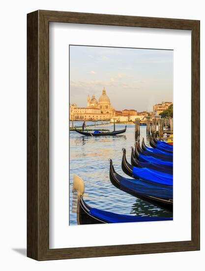 Gondola Lineup in Front of Basilica Di Santa Maria Della Salute. Venice. Italy-Tom Norring-Framed Photographic Print