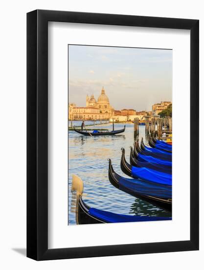 Gondola Lineup in Front of Basilica Di Santa Maria Della Salute. Venice. Italy-Tom Norring-Framed Photographic Print