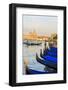 Gondola Lineup in Front of Basilica Di Santa Maria Della Salute. Venice. Italy-Tom Norring-Framed Photographic Print