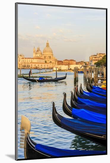 Gondola Lineup in Front of Basilica Di Santa Maria Della Salute. Venice. Italy-Tom Norring-Mounted Photographic Print