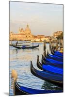 Gondola Lineup in Front of Basilica Di Santa Maria Della Salute. Venice. Italy-Tom Norring-Mounted Photographic Print