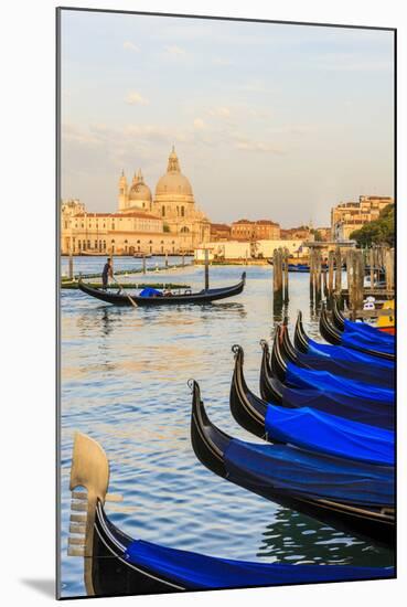 Gondola Lineup in Front of Basilica Di Santa Maria Della Salute. Venice. Italy-Tom Norring-Mounted Photographic Print
