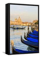 Gondola Lineup in Front of Basilica Di Santa Maria Della Salute. Venice. Italy-Tom Norring-Framed Stretched Canvas