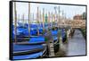 Gondola Lineup. Venice. Italy-Tom Norring-Framed Stretched Canvas