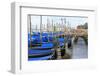 Gondola Lineup. Venice. Italy-Tom Norring-Framed Photographic Print