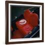 Gondola Seat and Gondolier's Hat, Venice, Veneto, Italy, Europe-Roy Rainford-Framed Photographic Print