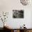 Gondola with Passengers on a Canal, Venice, Italy-Dennis Flaherty-Photographic Print displayed on a wall