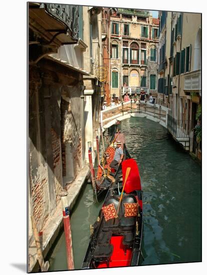 Gondolas along Canal, Venice, Italy-Lisa S. Engelbrecht-Mounted Photographic Print