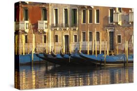 Gondolas Along the Grand Canal in Venice, Italy-David Noyes-Stretched Canvas