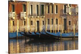 Gondolas Along the Grand Canal in Venice, Italy-David Noyes-Stretched Canvas