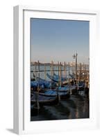 Gondolas Along the Grand Canal in Venice, Italy-David Noyes-Framed Photographic Print