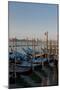 Gondolas Along the Grand Canal in Venice, Italy-David Noyes-Mounted Photographic Print