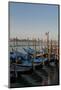 Gondolas Along the Grand Canal in Venice, Italy-David Noyes-Mounted Photographic Print