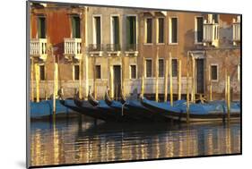 Gondolas Along the Grand Canal in Venice, Italy-David Noyes-Mounted Photographic Print