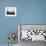 Gondolas and Gondoliers on a Rainy Day in Venice Italy, June 1965-null-Framed Photographic Print displayed on a wall