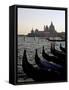 Gondolas and S. Maria Salute, Venice, Veneto, Italy-James Emmerson-Framed Stretched Canvas