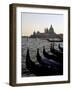 Gondolas and S. Maria Salute, Venice, Veneto, Italy-James Emmerson-Framed Photographic Print