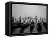 Gondolas and the Church of San Giorgio Maggiore, Venice, Veneto, Italy-Roy Rainford-Framed Stretched Canvas