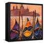 Gondolas In Venice-balaikin2009-Framed Stretched Canvas