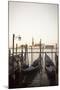 Gondolas Moored on the Lagoon, San Giorgio Maggiore Beyond, Riva Degli Schiavoni-Amanda Hall-Mounted Photographic Print